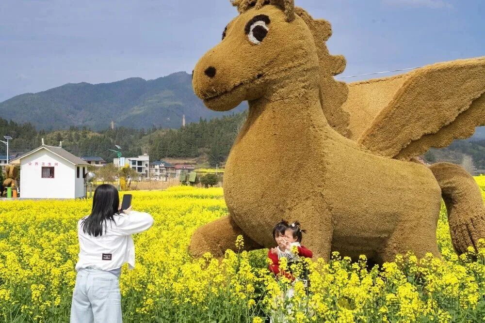 ͼƬ